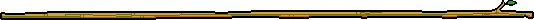 C}